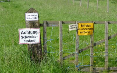 Gemeinsamer EU-Appell für praktikable KI-Kennzeichnung